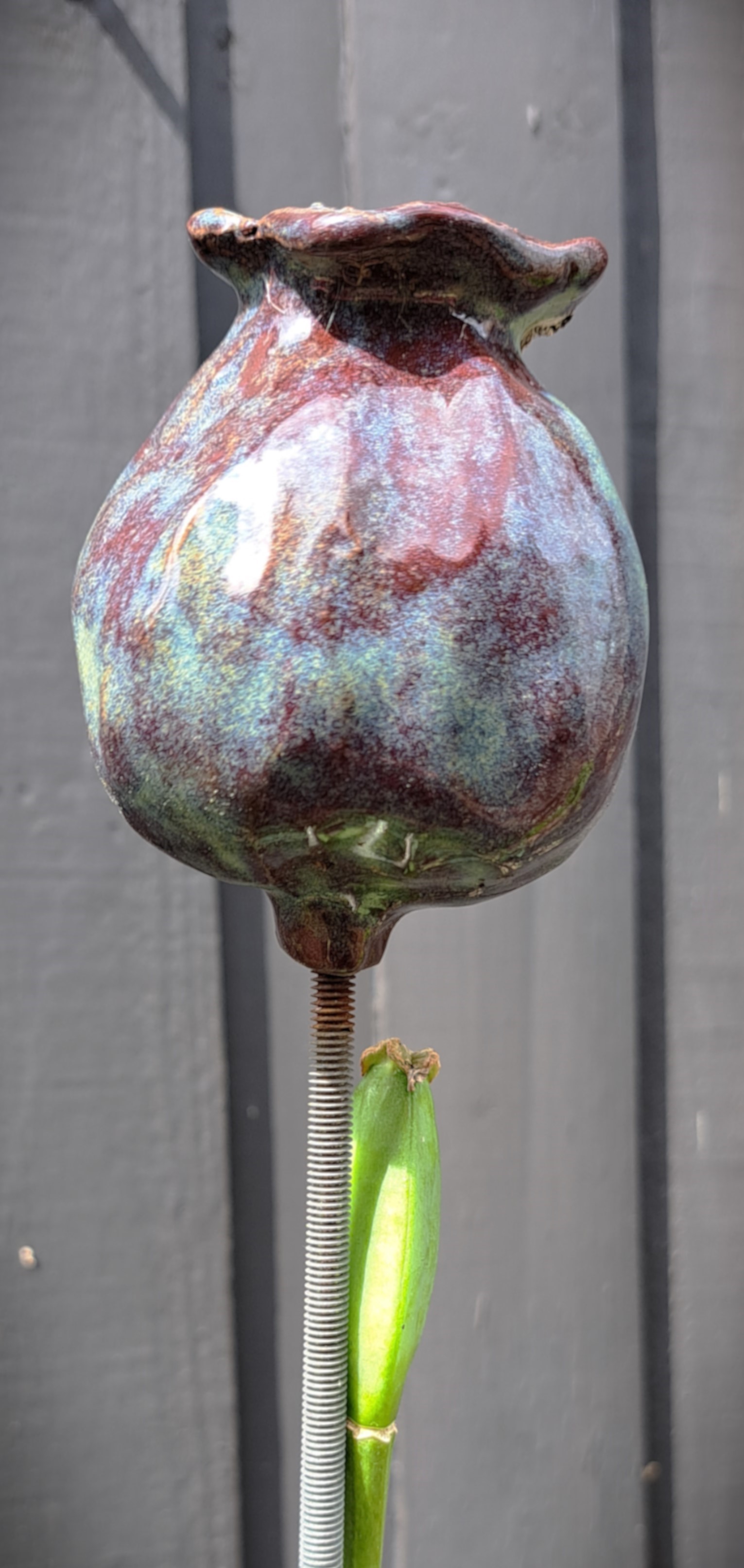 Frökapsel i stengods